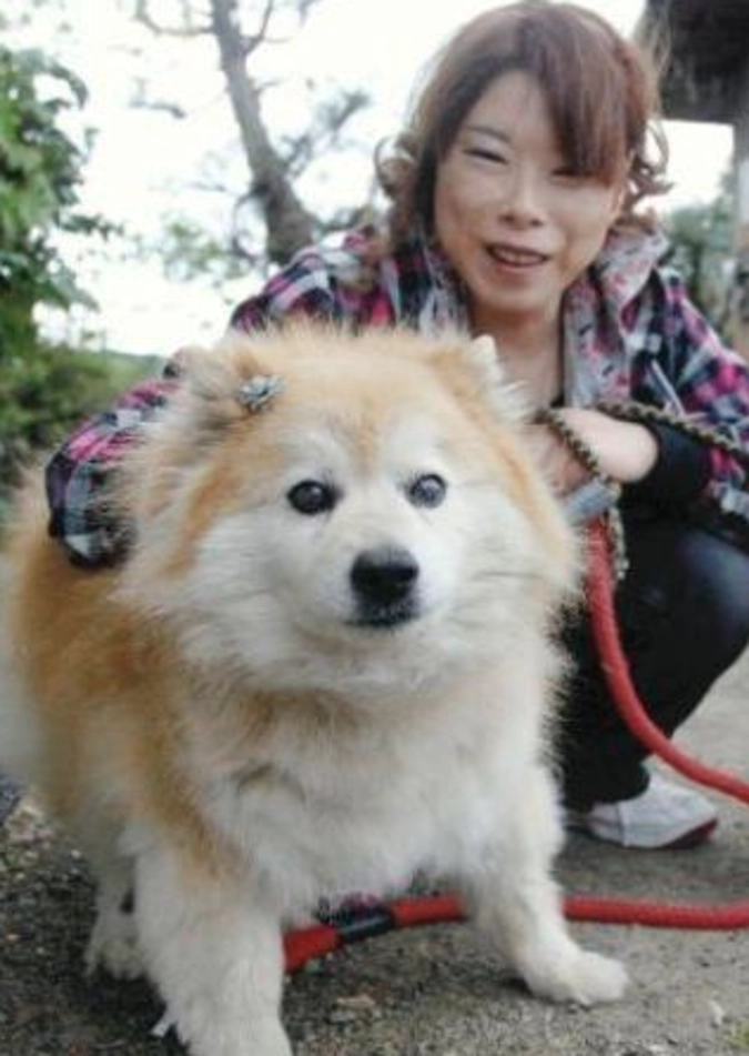 В Японии скончался самый старый пес в мире