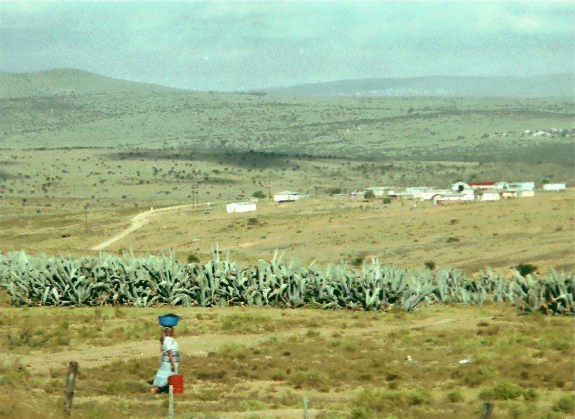 Сельская местность в бантустане Сискей