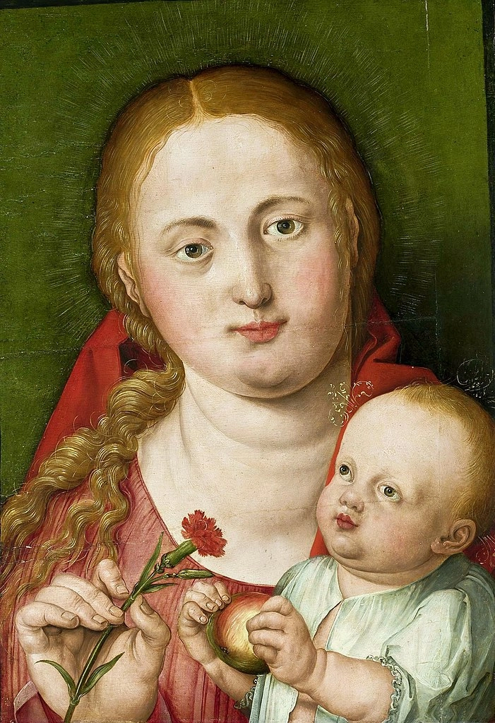 Hans Springinklee. Мадонна с Младенцем и гвоздикой, 16 век