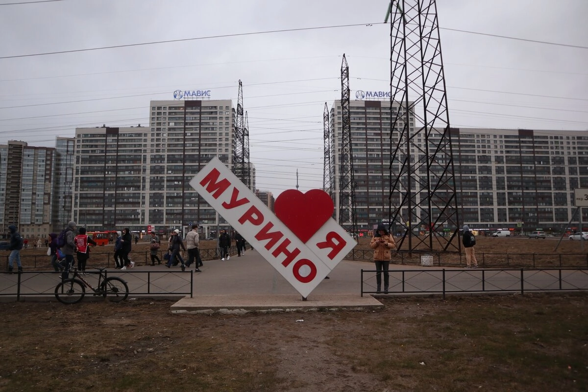 Город-человейник Мурино: дома построили, а «нормально жить» — нет