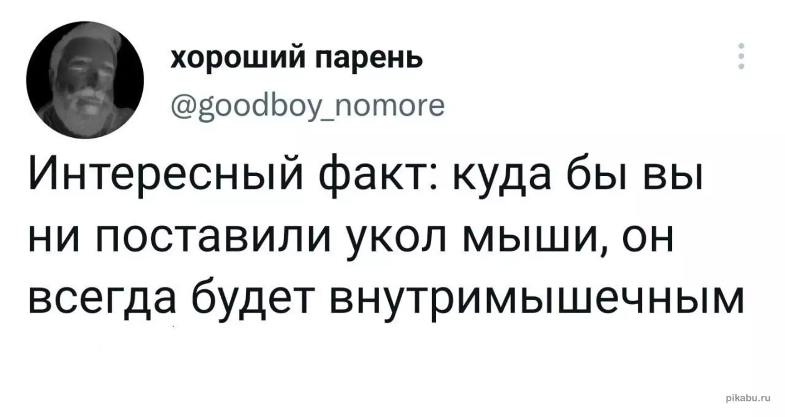 Игра слов: 10+ уморительных каламбуров, которые точно стоят вашего внимания