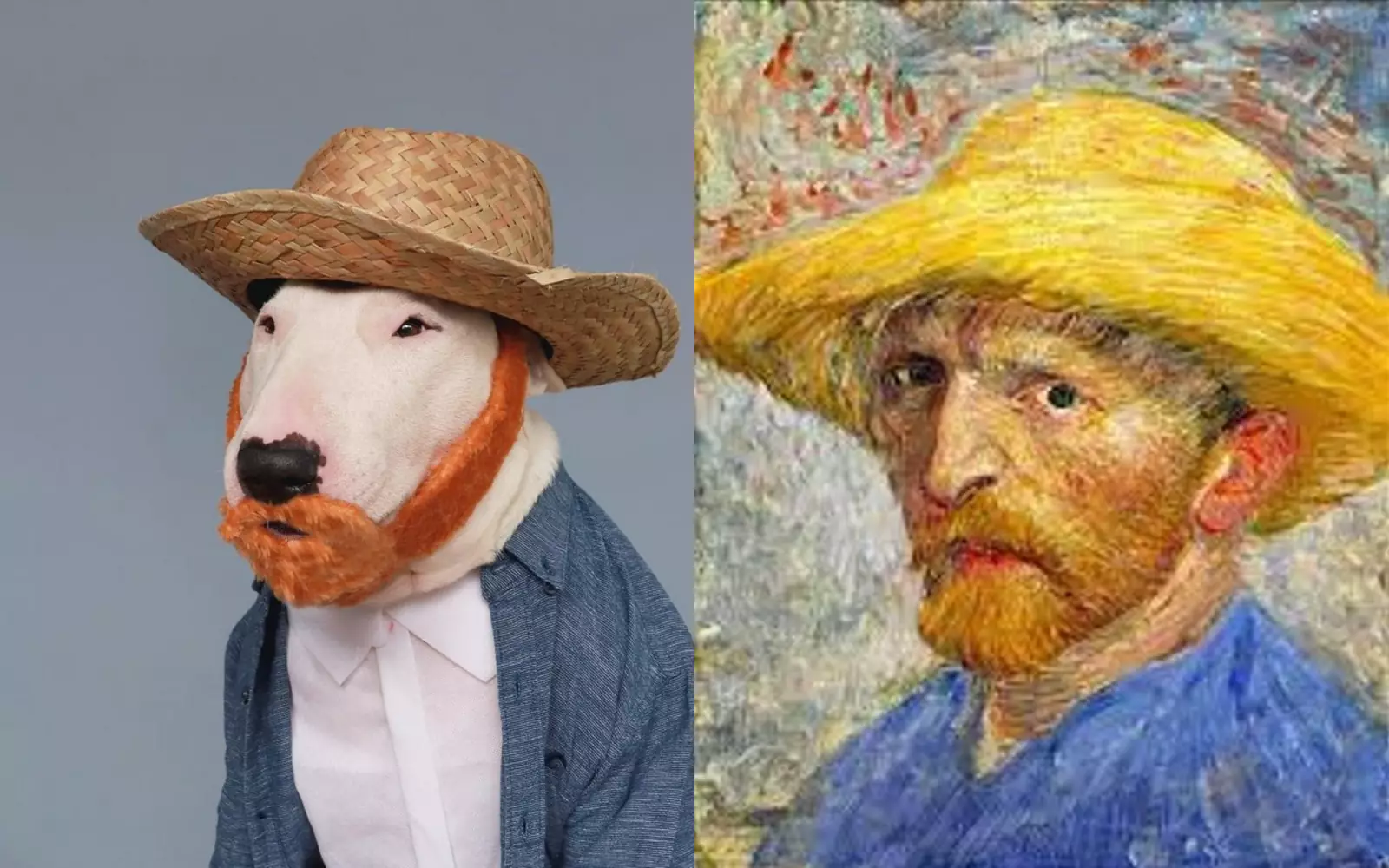 Ценитель искусства: пес смешно и мило воссоздает известные картины