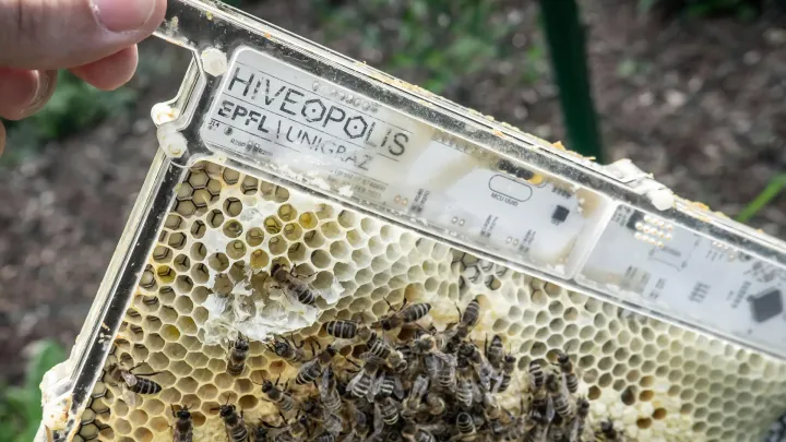 Как сделать пчелиный улей