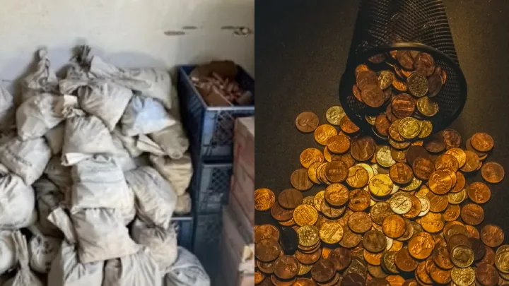 В своем доме французы обнаружили клад с золотыми монетами (ФОТО): читать на webmaster-korolev.ru